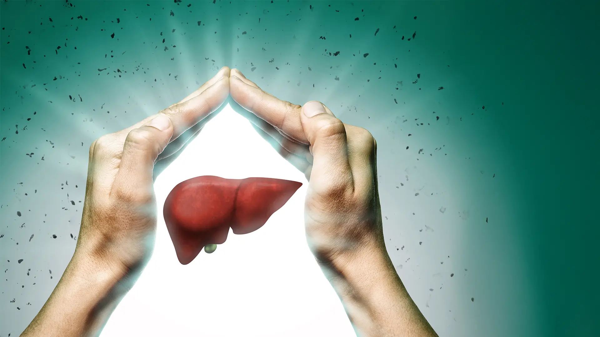 Liver Science