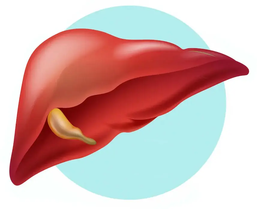 Mechanism of action